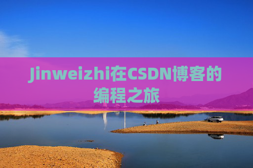 Jinweizhi在CSDN博客的编程之旅